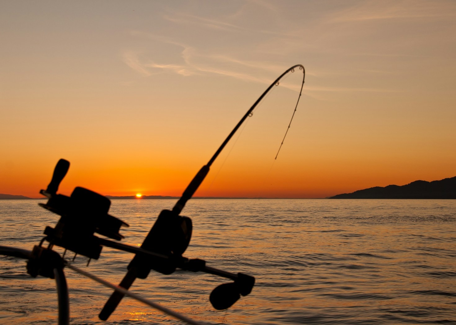 How to Choose the Right Catfishing Gear